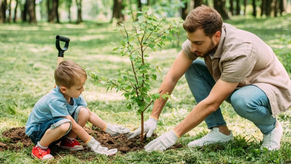 Ecological Landscaping Tree Planting